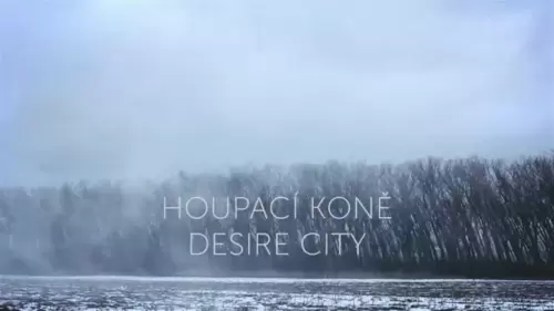 Houpací koně - Desire City