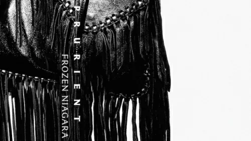 TOP SONGY 2015: Prurient – Dragonflies To Sew You Up