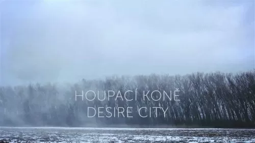 Houpací koně - Desire City