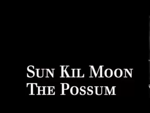 Mark Kozelek - The Possum